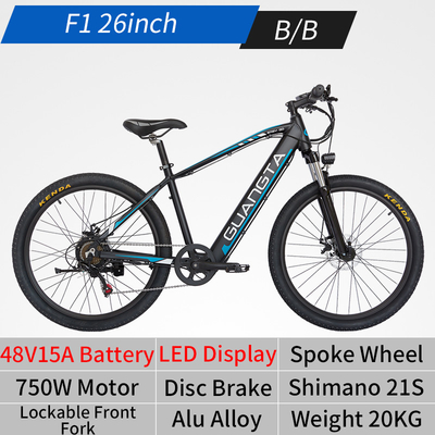 750W 500 Watt Electric Bike Electric Mountain Bike With Rainproof Ebike LCD Display Showing E Message